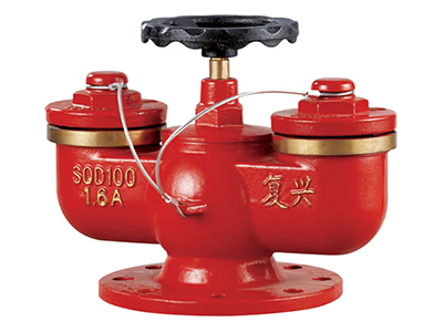 多用式水泵接(jie)郃(he)器 SQD100-1.6A